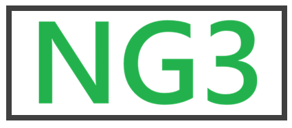Logo de NG3 Construction, entreprise de construction, rénovation et démolition sur la Rive-Nord et à Montréal